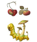 Asuka Hishiki, An Accidental Resemblance—An Apple and a Tomato (Malus domestica and Solanum lycopersicum), 2011, watercolor on paper and Atropos Fungus Caterpillar, Death's-head Hawkmoth fungus caterpillar, watercolor on paper