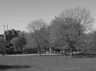 Image of The Earliest New York City Parks