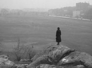 A lone figure stands on an outcrop, surveying a large meadow in a park