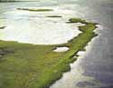 Photo of an aerial view of a coastal marsh