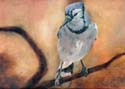 Image of painting of a bluejay from 'HOLLOW BONES' by Diane Dwyer