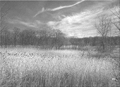 Thumbnail of photo of "Kissena Park, 1998", © Paul Anthony Melhado