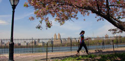 Woman walking next to the reservoir in Central Park