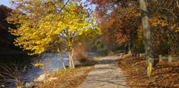 Path next to a lake in Clove Lakes Park