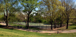 Path in Fort Greene Park