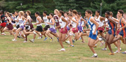 Group of people running in Van Cortlandt Park