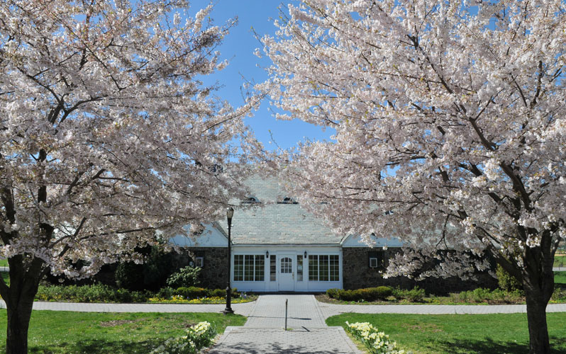 Spring Blooms at NYC Parks : NYC Parks