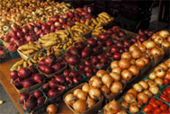 Root veggies being sold at the Union Square Greenmarket