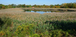 Ridgewood Reservoir in Highland Park