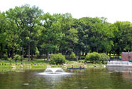 Lake in Crotona Park