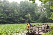 Dock in High Rock Park