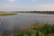 Jamaica Bay