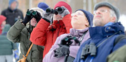 People with binoculars bird watching