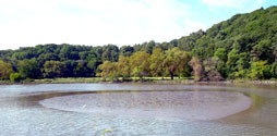 Inwood Hill Park