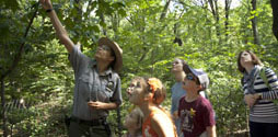 Ranger pointing out something to a group of people