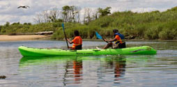 People kayaking around White Island