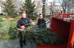 Mayor Michael R. Bloomberg and Parks Commissioner Adrian Benepe feed a tree into the chipper at MulchFest 2009