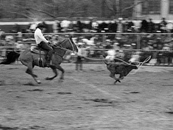 5th Annual Black World Championship Rodeo, Colonel Charles Young Playground, April 16, 1988