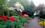 Lovebirds can lose themselves in the misty Heather Garden at Fort Tryon Park and forget they’re in the city.