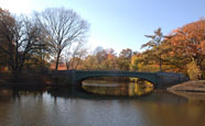 The Lullwater Bridge in Prospect Park is a popular photo shoot spot for cuddly couples.