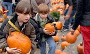 Boys with Pumpkins at Pumpkin Festival