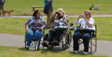 People in wheelchairs watching an event