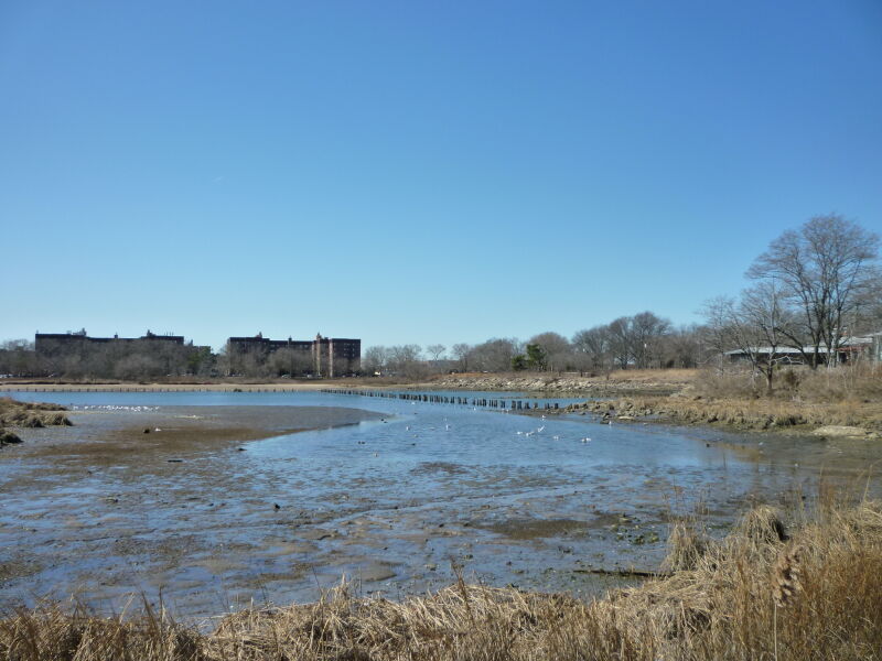 Winter overlooking the boardwalk