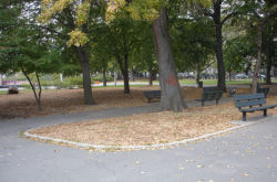 Herbert Von King Park