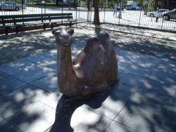 Banneker Playground Spray Shower