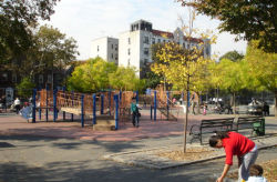 Kelly Park