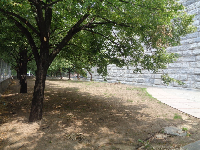 Anchorage Plaza