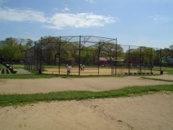 Friends Field