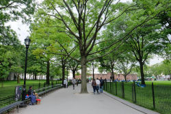 The Battery Nyc