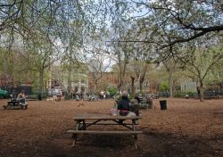 Tompkins Square Park dog run