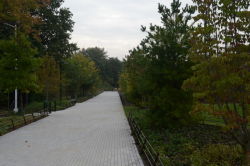 A Pathway To Freshkills