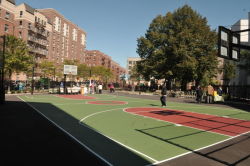 Fox Playground