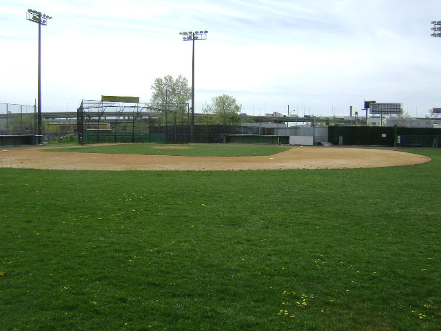 Castle Hill Little League Field Baseball Fields : NYC Parks