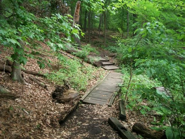 Hiking Trails : NYC Parks