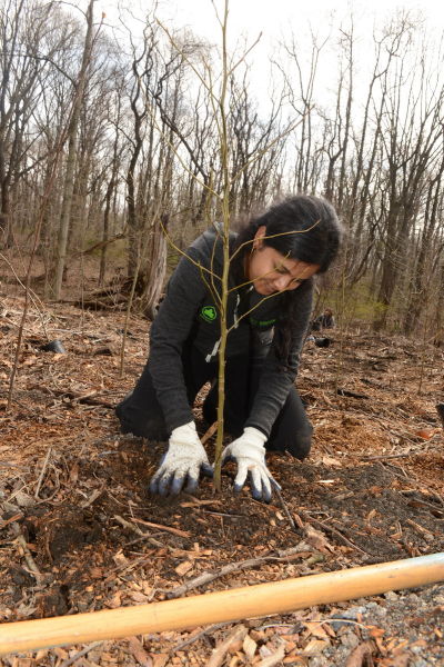 Van Cortlandt Park Images : NYC Parks