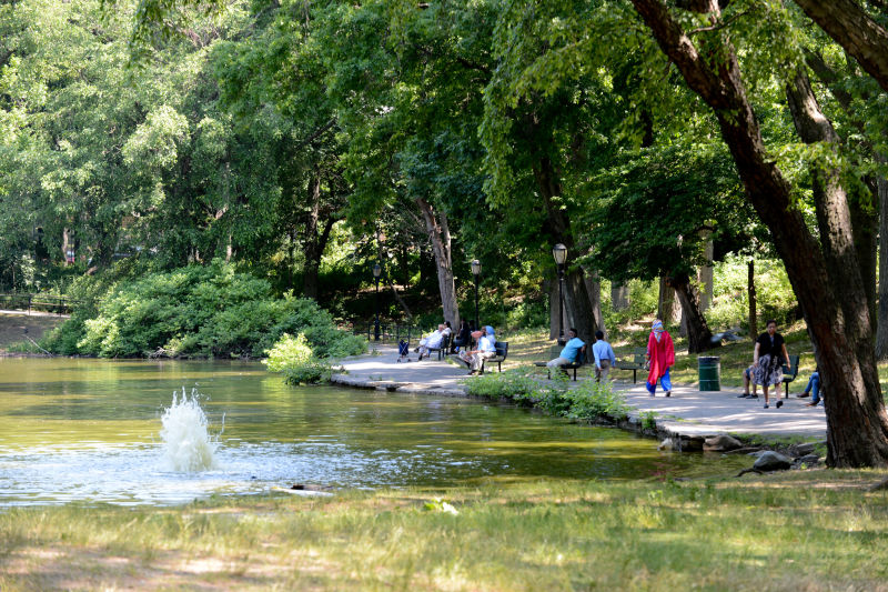 Captain Tilly Park & Goose Pond - Jamaica, New York 🦆 