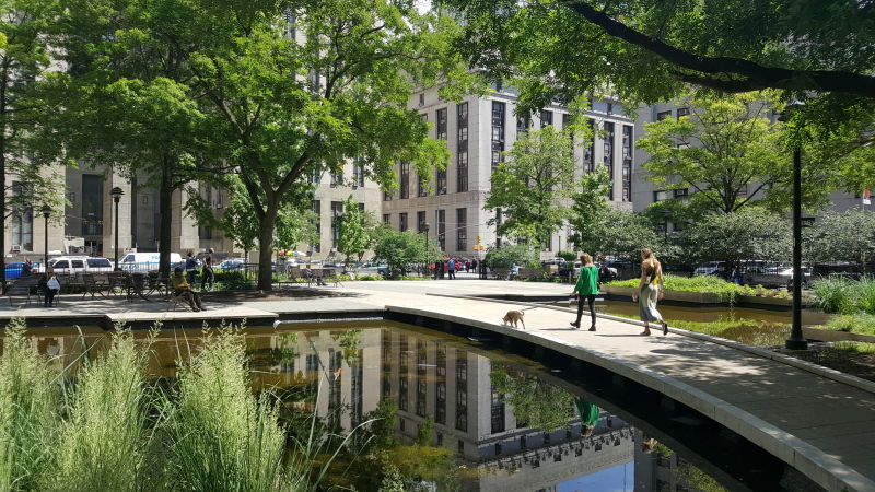 Canal Park : NYC Parks