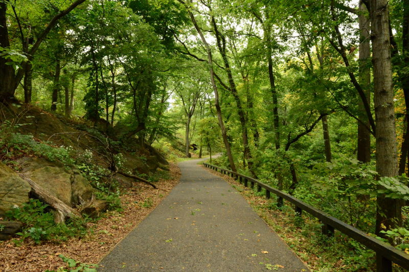 Hiking Trails : NYC Parks