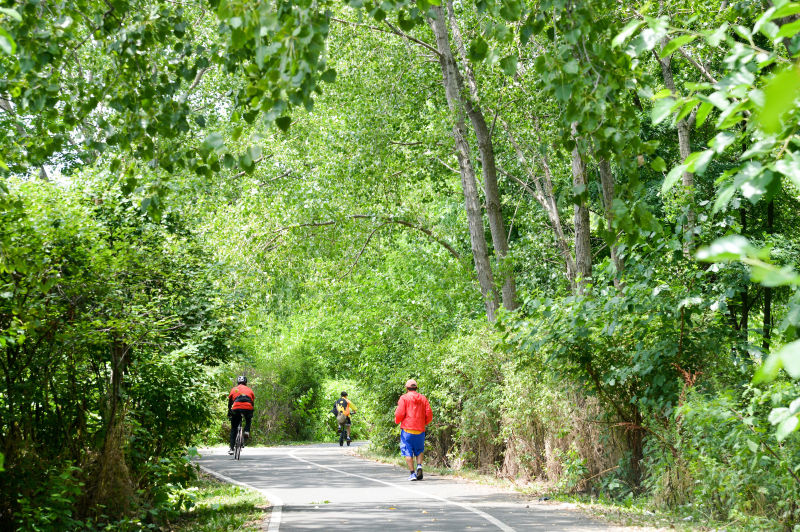 Soundview Park Highlights - Soundview Park - Salt Marshes in New York ...