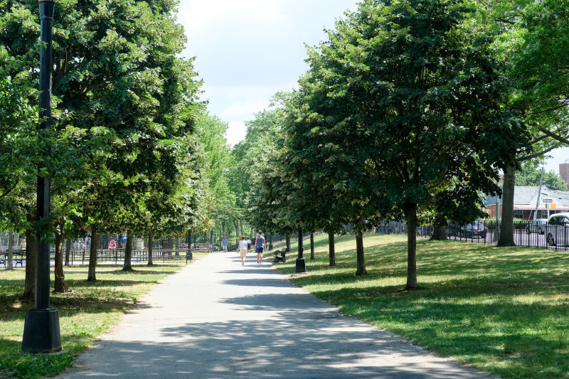 Juniper Valley Park NYC Parks