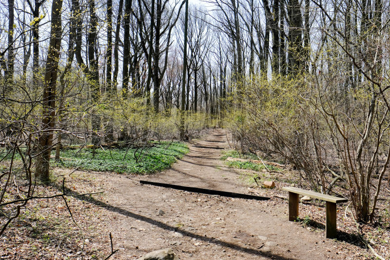 Hiking Trails : NYC Parks