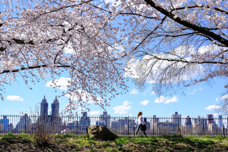 Central Park : NYC Parks