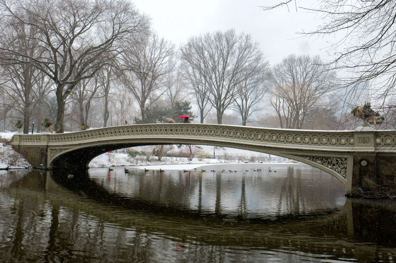 Central Park : NYC Parks