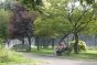 Enjoying a Bench in Kissena Park