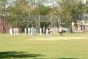 Cricket in Baisley Pond Park