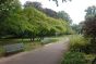 Kissena Park in Summer